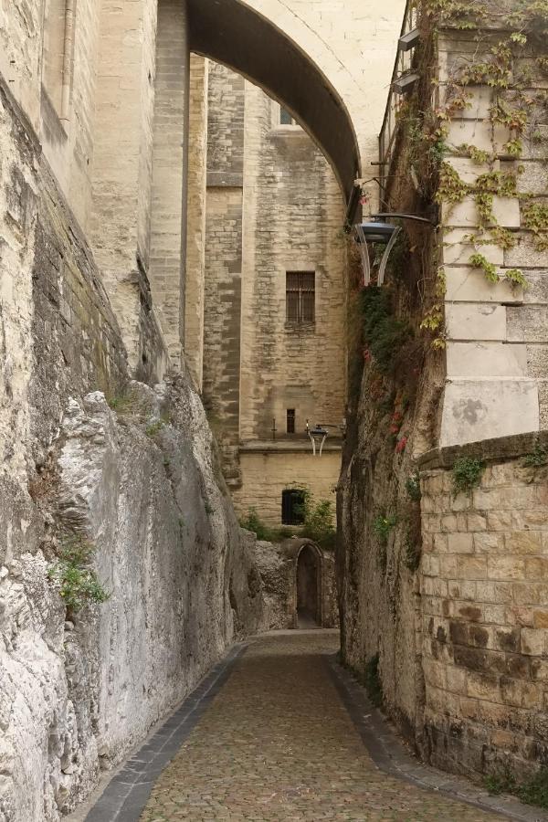 La Maison Im Αβινιόν Εξωτερικό φωτογραφία